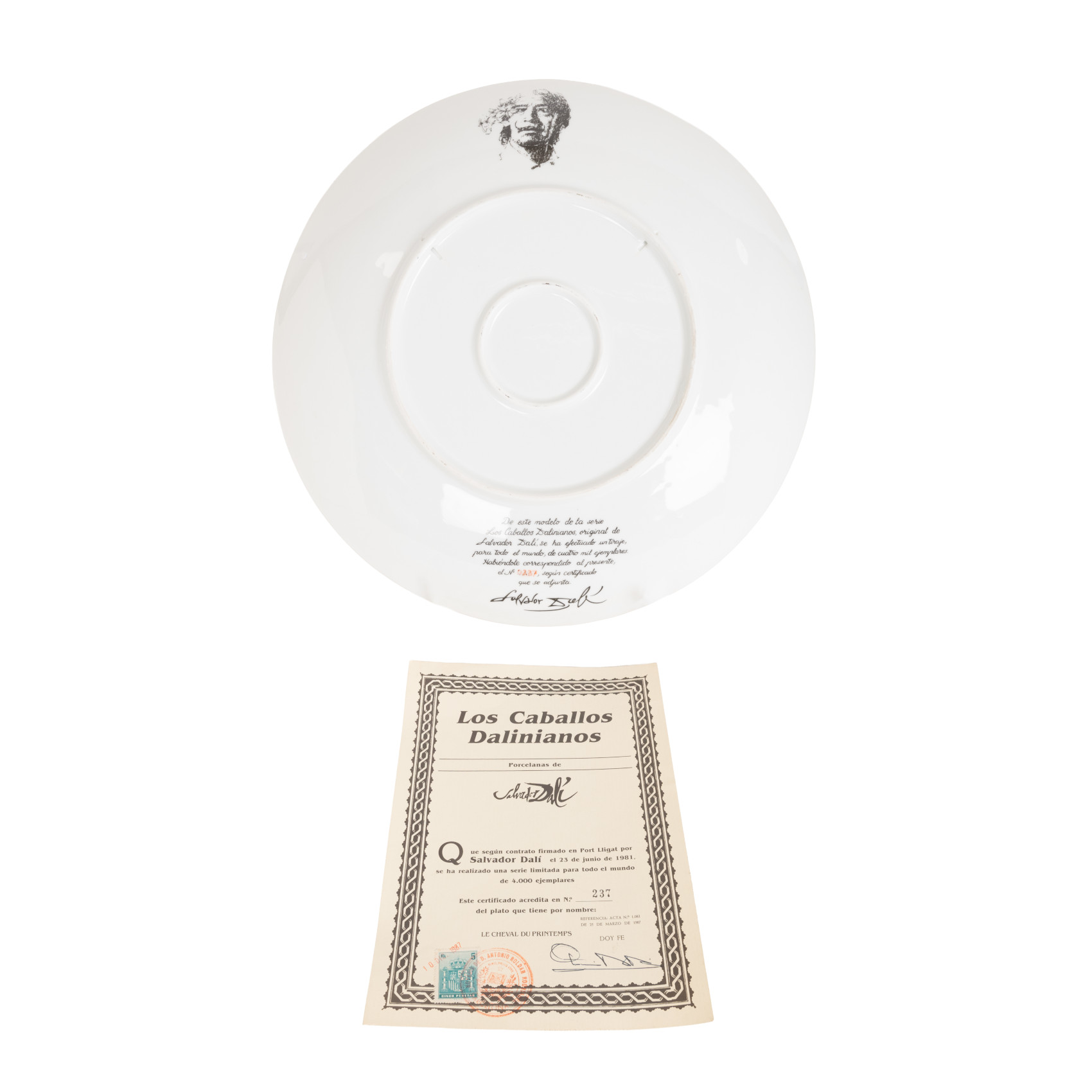 72791-5b
